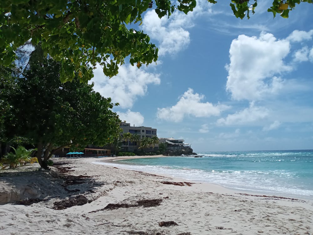 Best time to visit Barbados
