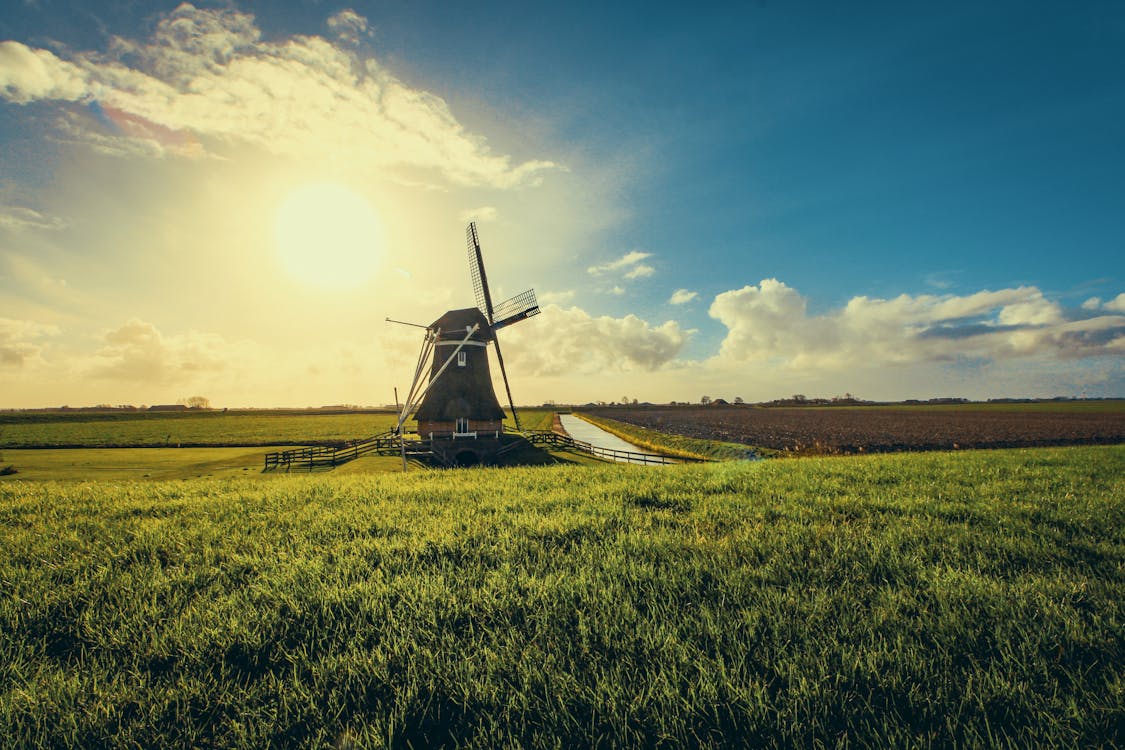 Best time to visit Netherlands