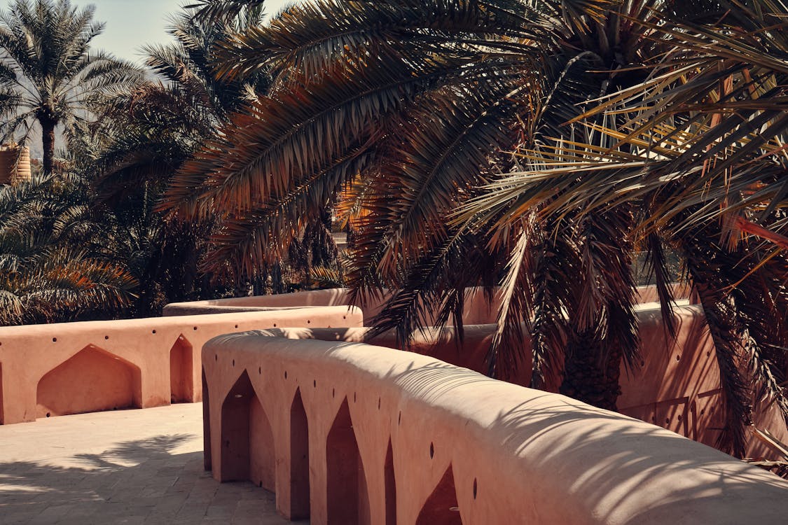 Best time to visit Oman