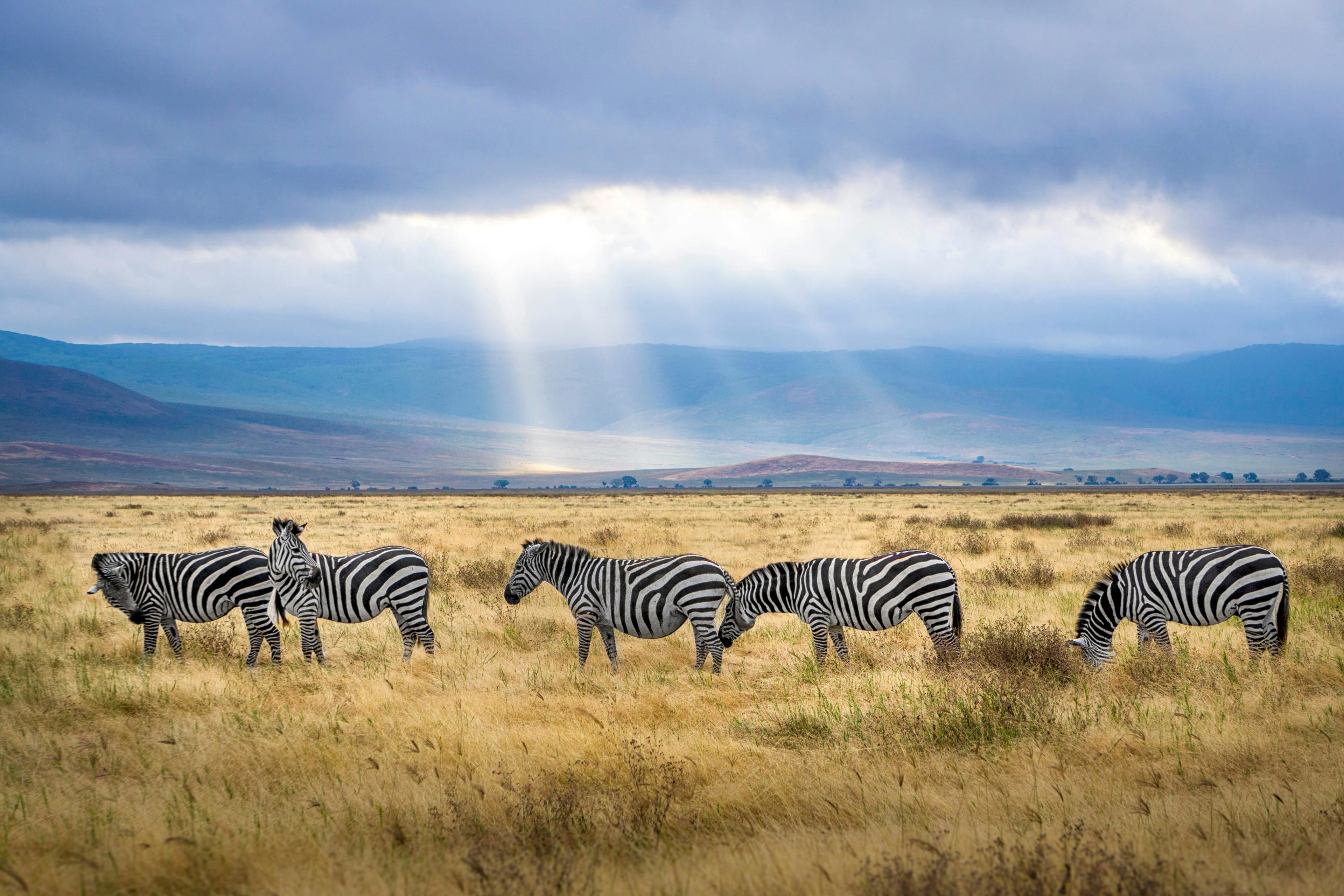 Best time to visit Tanzania