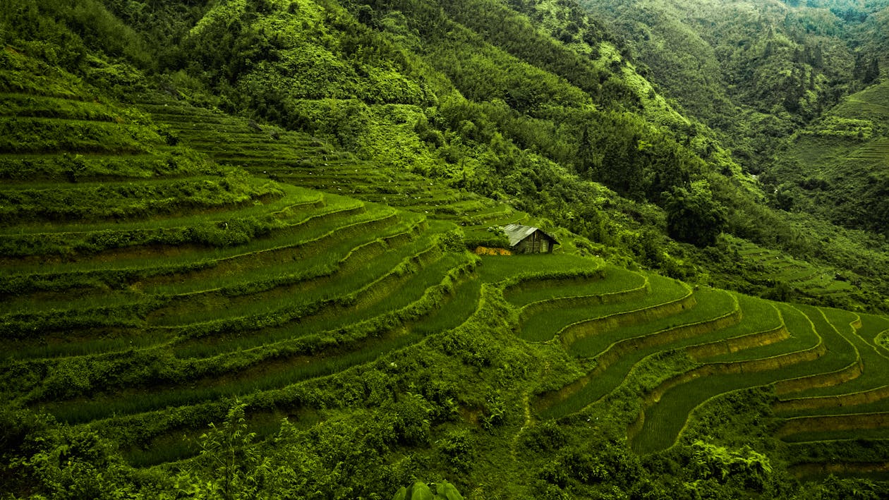 Best time to visit Vietnam
