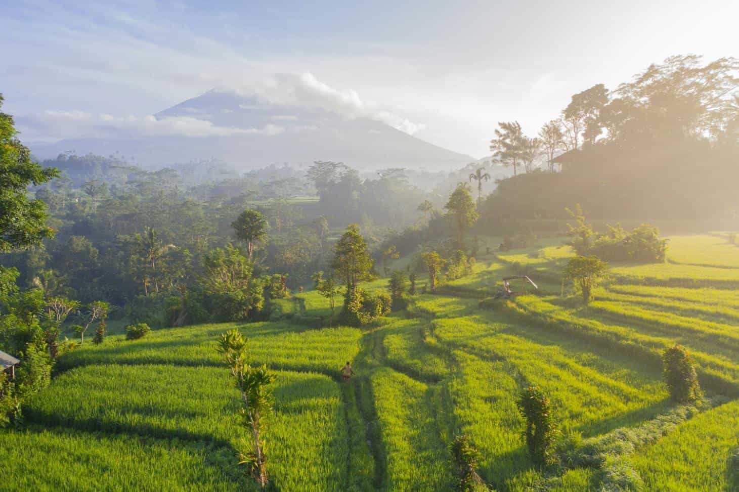 Best time to visit Bali