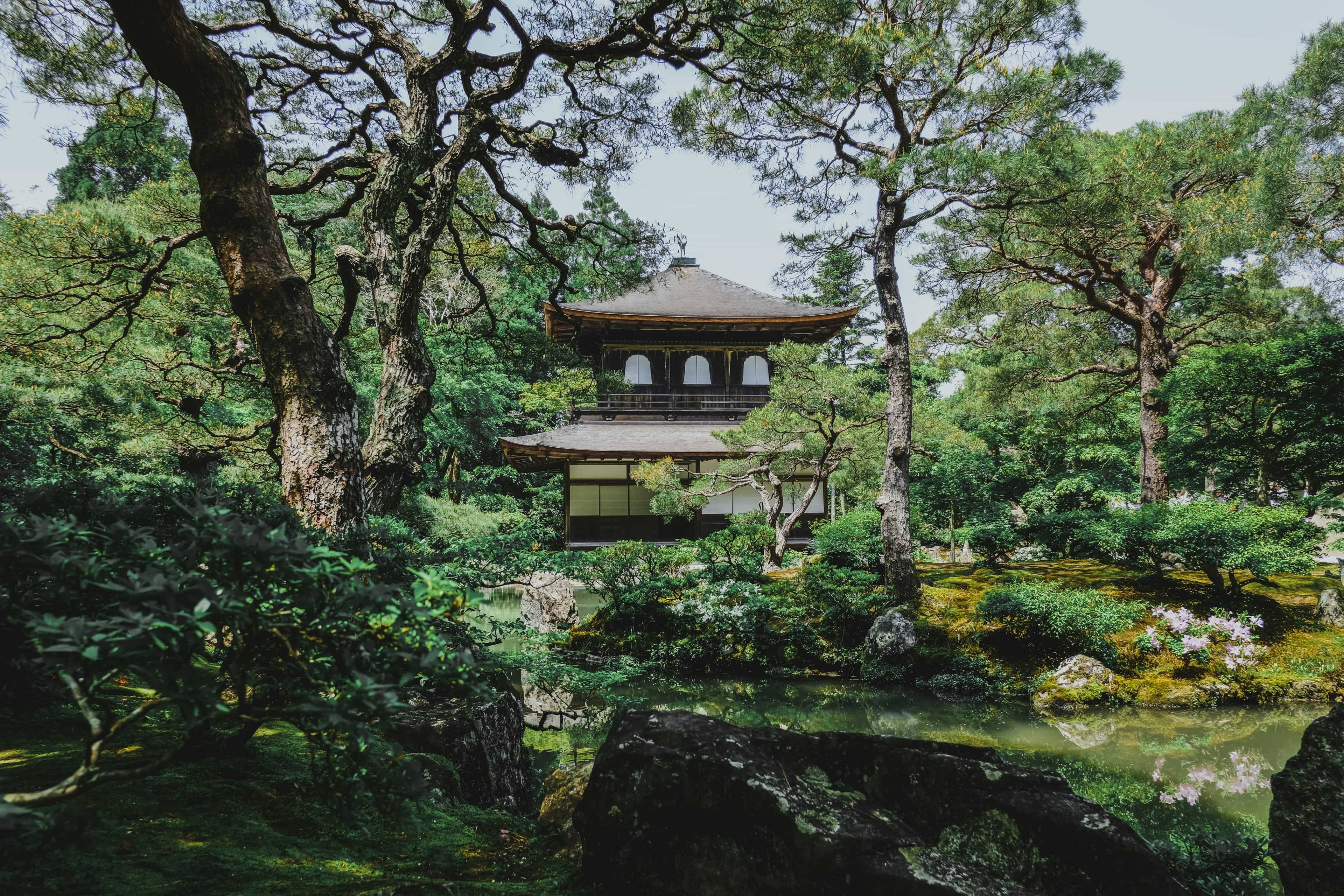 Best time to visit Kyoto
